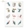 Creative Set RP106 Tropical Dreams vol. 2